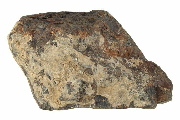 Agoudal Iron Meteorite ( g) - Morocco #245615